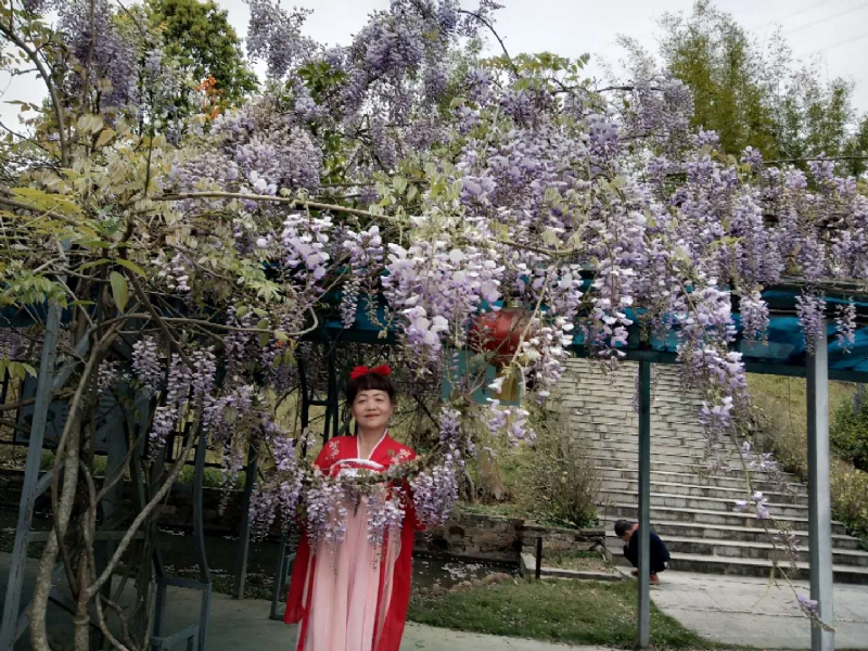 莉莉的第一张照片--屏南征婚网