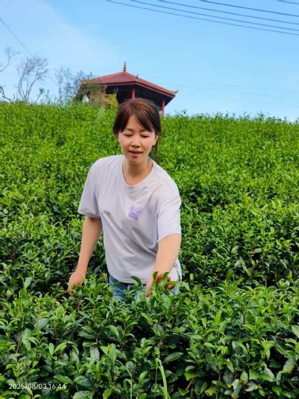 Q绮芳的第一张照片--屏南征婚网